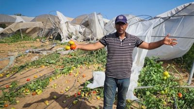 جرائم الاحتلال مستمرة، تسمم الأطفال والقضاء على آخر سلة غذائية في غزة