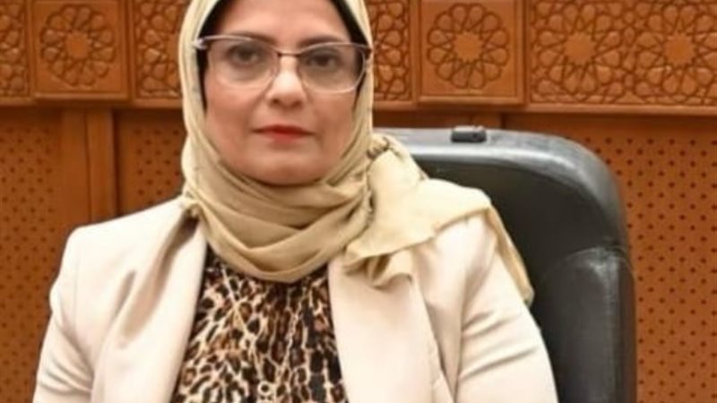 النائبة نجلاء العسيلي