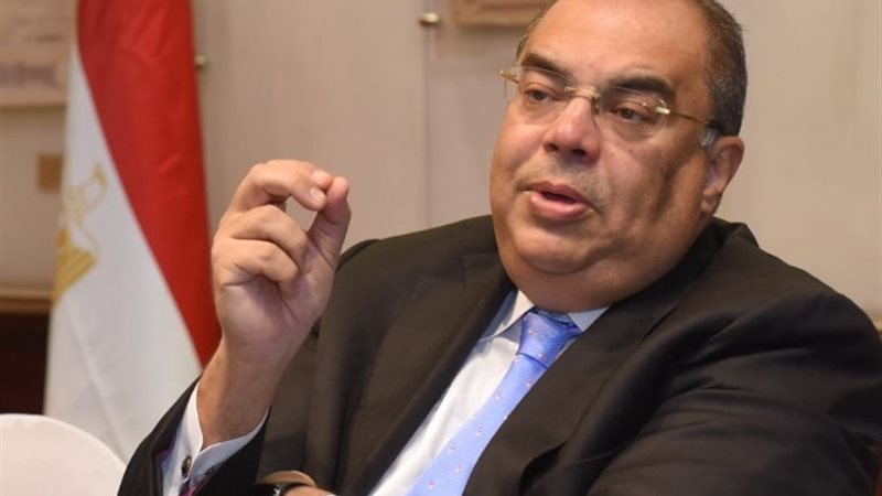 الدكتور محمود محيي الدين