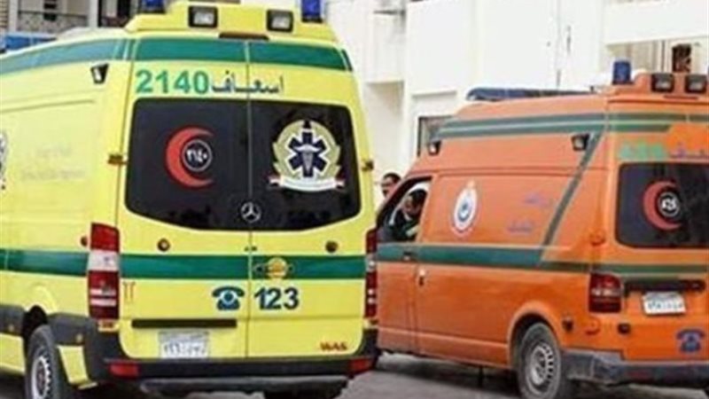 ارشيفية