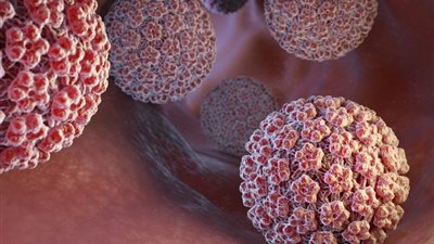 فيروس قاتل وأخطر من الإيدز، اذهب للطبيب فورا حال ظهور أعراضه عليك