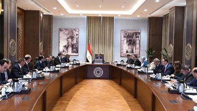 رئيس الوزراء: 1.2 مليار دولار لتمويل شراء المواد البترولية لتشغيل محطات الكهرباء