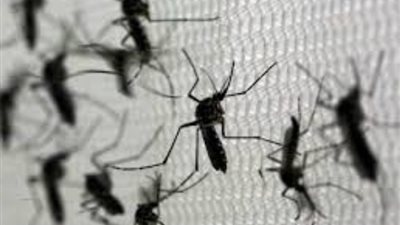 فيروس ينتقم لأهل غزة من الاحتلال الإسرائيلي