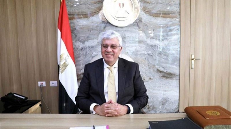 الدكتور أيمن عاشور