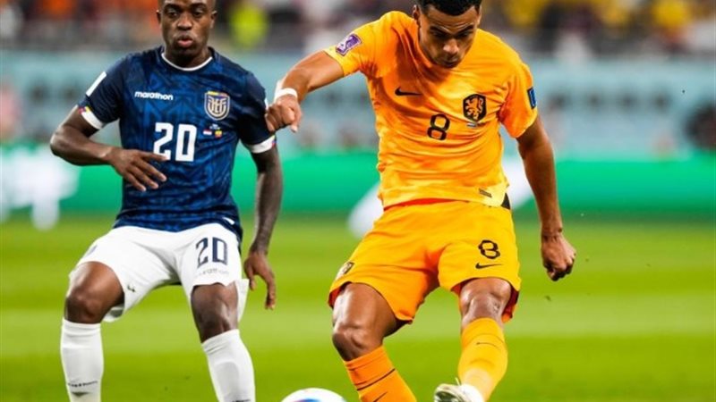 هولندا ورومانيا