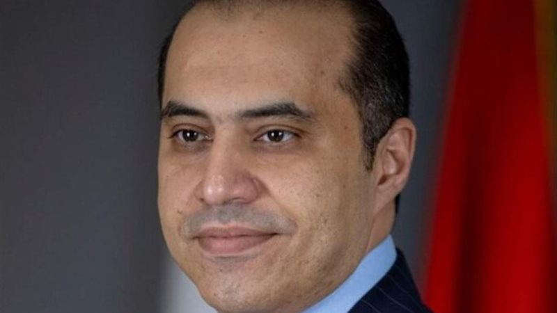 المستشـارمحمود فوزي وزير الشئون النيابية والقانونية والتواص