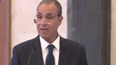وزير الخارجية: مصر تعمل على تسهيل إنفاذ المساعدات الإنسانية إلى السودان