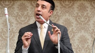 أحمد الشناوي: استكمال جلسات الحوار الوطني فرصة لتعزيز الوحدة الوطنية