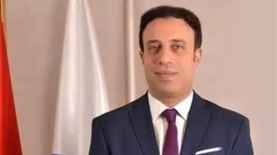 «برلماني»: مصر الداعم الأول لدول الجوار ولن تتخلى عن دورها القيادي بالمنطقة