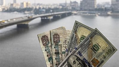 سعر الدولار مقابل الجنيه المصري في بداية تعاملات اليوم الأحد