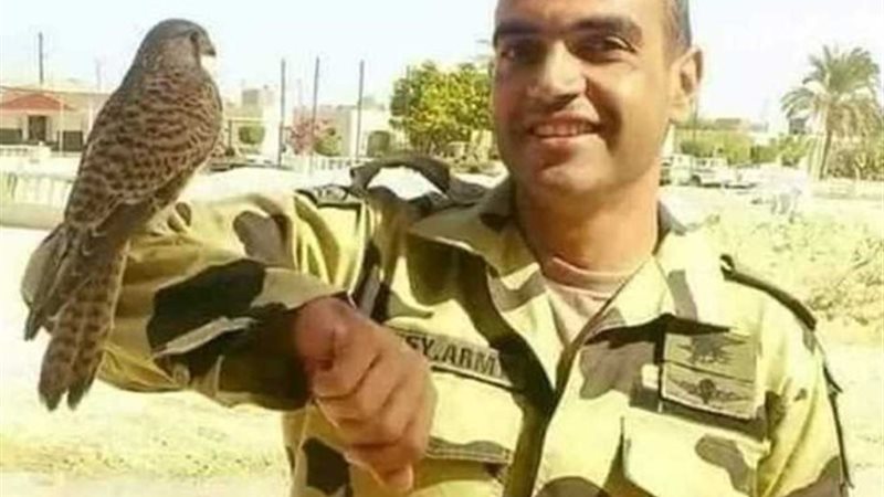 أحمد المنسي