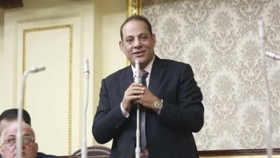النائب إبراهيم عويس: تغيير وزير التموين خطوة جيدة وملف الاقتصاد الأهم