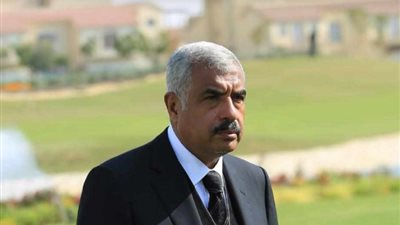 بـ200 مليار في أسبوع.. «ساوث ميد» يضع «طلعت مصطفى» في صدارة القارة