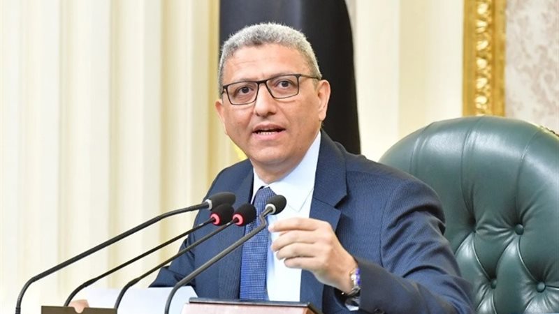 وكيل مجلس النواب
